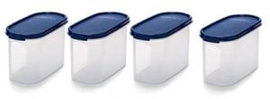 Signoraware Oval Plastic Container Set, Set of 4, 1.1 Litres, Blue - Image 4